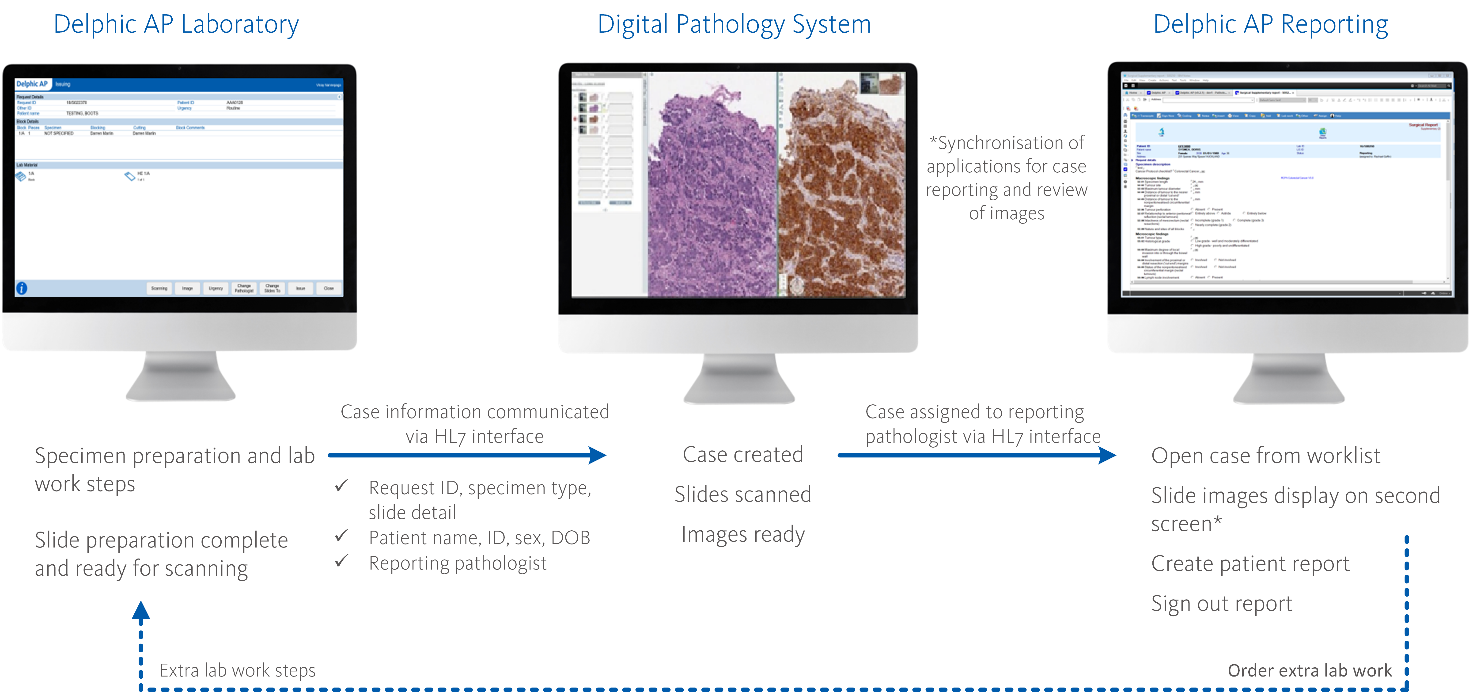 Digital Pathology Interface