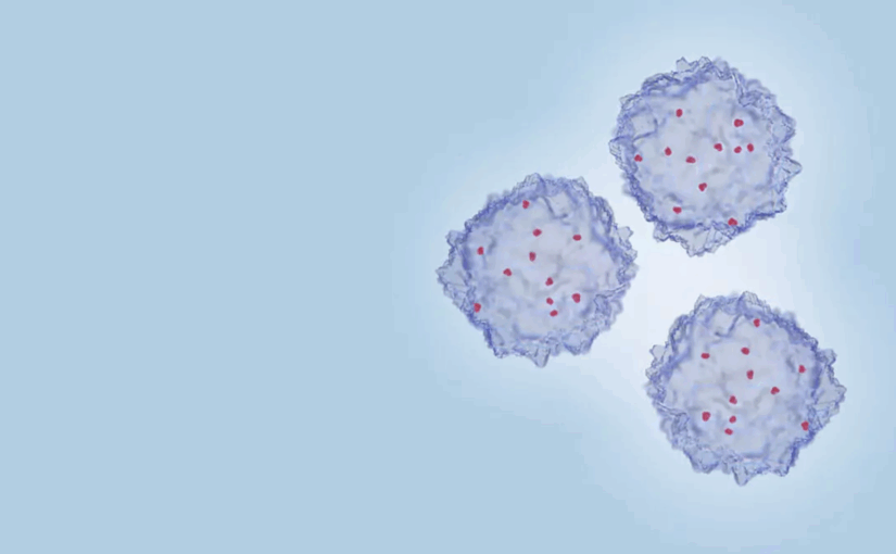 Trombosit Terus Turun, Transfusi Diberikan?