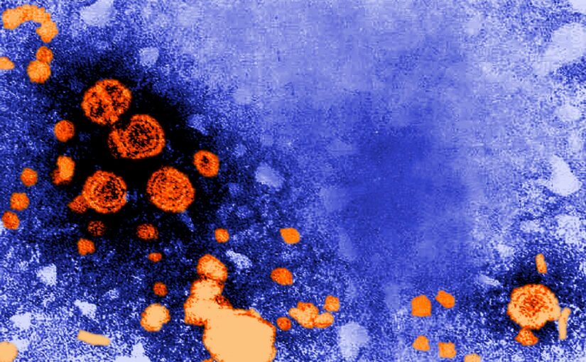 Hepatitis B Infection: Clinical Features and Immunological Response